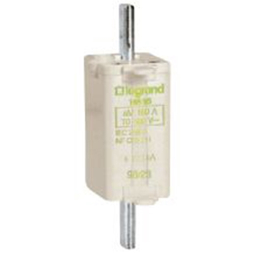 LEGRAND BLADE FUSE 100A