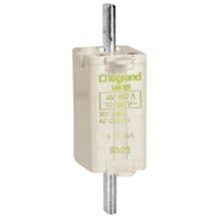 LEGRAND BLADE FUSE 100A