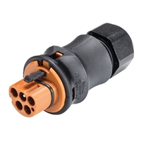 WIELAND 4 POLE CONNECTOR MALE