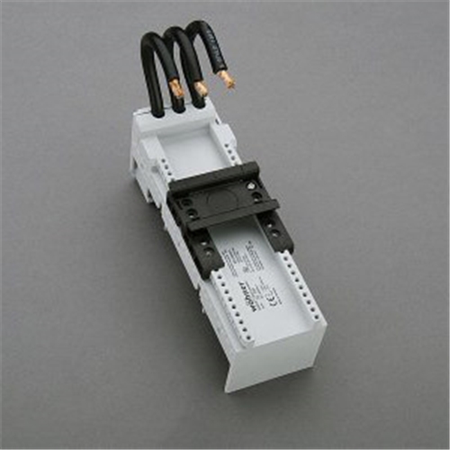 WOEHNER 63A RAIL MOUNTING MODULE