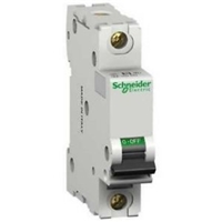 SCHNEIDER SINGLE POLE 2A MCB (25696)