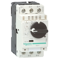 SCHNEIDER Circuit breaker-thermal-magnetic