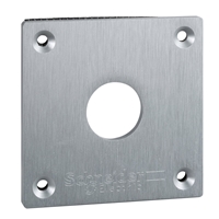 SCHNEIDER FLUSH MOUNTING PLATE