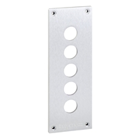 SCHNEIDER FLUSH MOUNTING PLATE