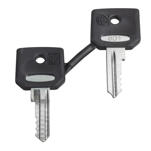 SCHNEIDER SET OF KEY N520E (PAIR)