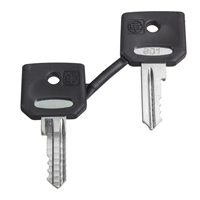 SCHNEIDER SET OF KEY N520E (PAIR)