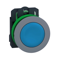 Schneider Electric flush mounted blue flush caps p