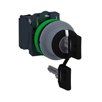 Schneider Electric flush mounted ssw key 455 3 pos