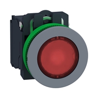 Schneider Electric flush mounted red flush caps il