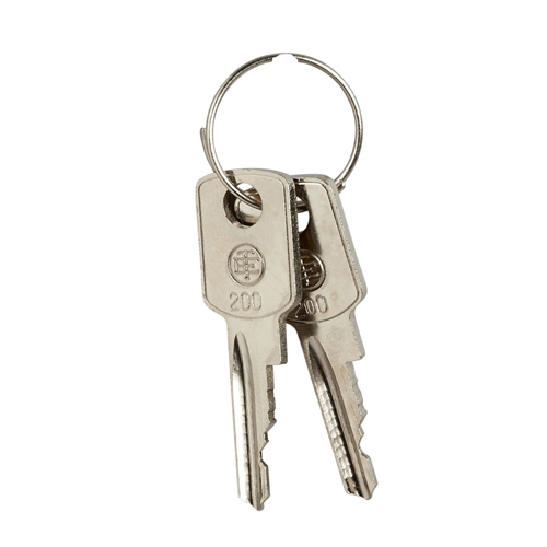 SCHNEIDER KEY (311)