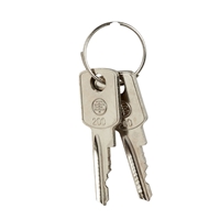 SCHNEIDER KEY (311)