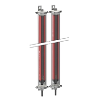 Telemecanique Sensors Safety light curtain type 4,