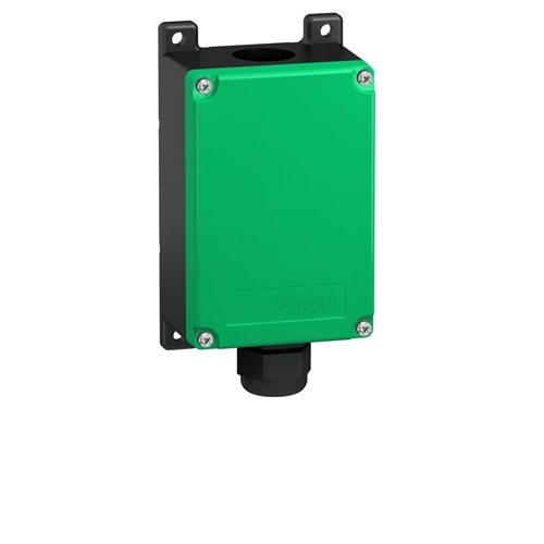 Schneider Electric External module: 2 Analog input