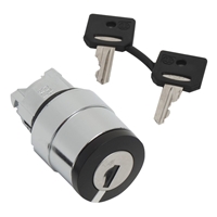 SCHNEIDER Key Selector Switch (CES) CES TEC10