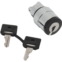 SCHNEIDER KEY SWITCH 2POS SP/RETURN KEY NO.458A