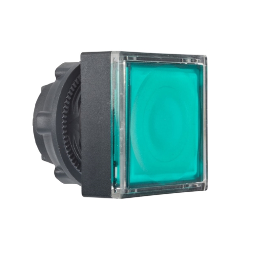 Schneider Electric green square flush illum pushbu