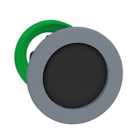 Schneider Electric flush mounted black pushbutton