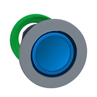 Schneider Electric flush mounted blue flush caps p