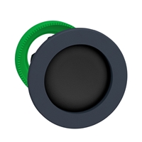 Schneider Electric FLUSH MOUNTED BLACK PUSHBUTTON