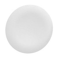 Schneider Electric white plain cap for flush mount