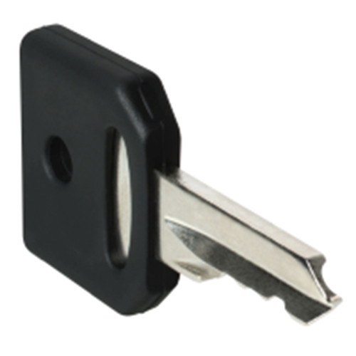 Schneider Electric Harmony XB4, Set of 2 keys, Ron